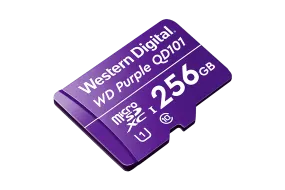 256GB microSD Card (Surveillance Grade)