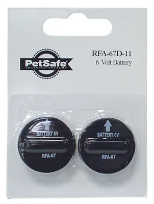 2PK 6V Lith Battery