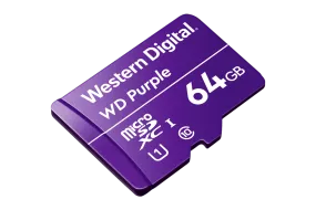 64GB microSD Card (Surveillance Grade)