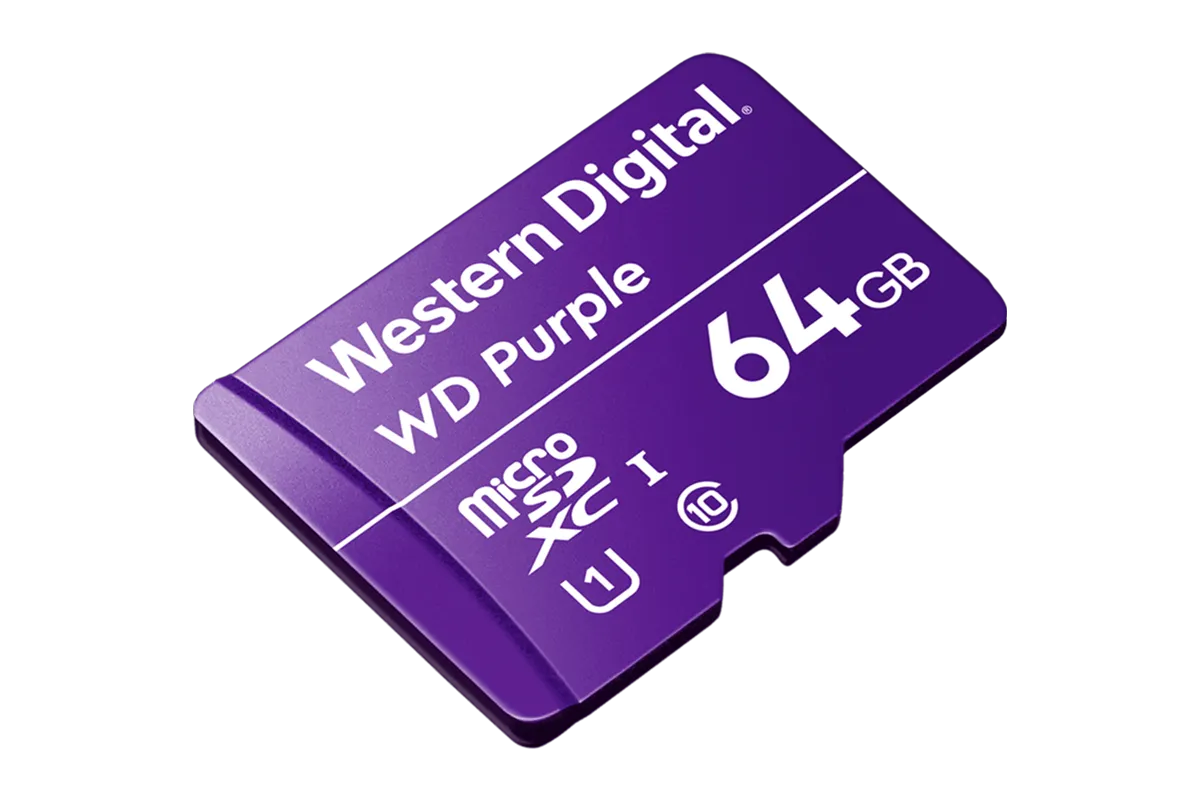 64GB microSD Card (Surveillance Grade)
