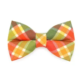 Cat Bow Tie - "Apple Crisp" - Green Plaid Bow Tie for Cat / Fall, Autumn, Thanksgiving / Cat   Small Dog Bowtie
