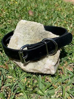 Champ BioThane 1 Inch Buckle Collar