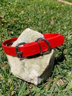 Champ BioThane 1 Inch Buckle Collar