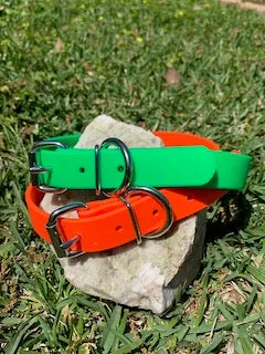 Champ BioThane 1 Inch Buckle Collar