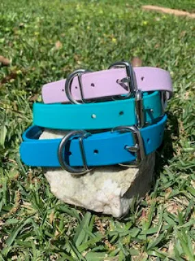 Champ BioThane 1 Inch Buckle Collar