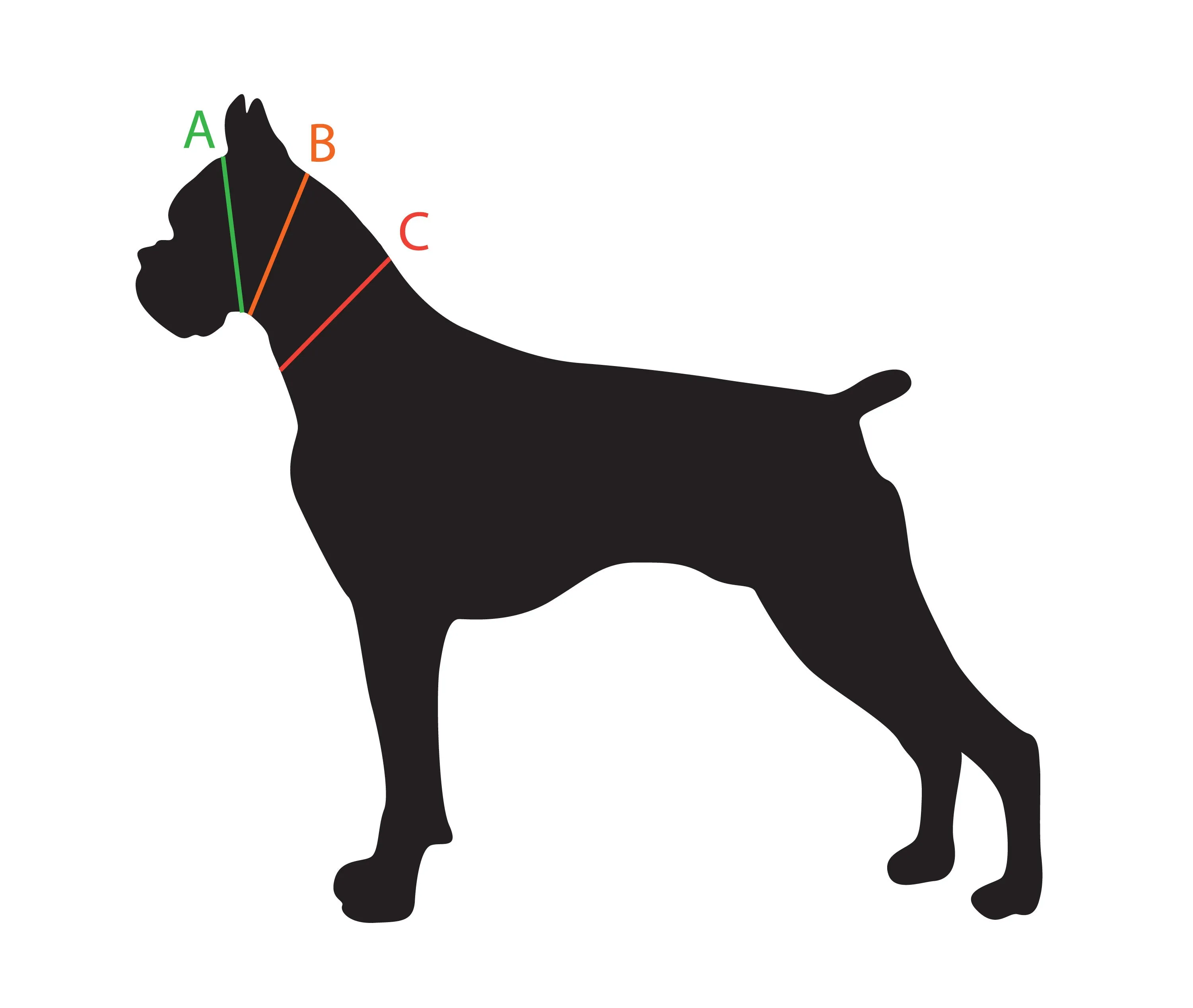 Champ BioThane 1 Inch Buckle Collar