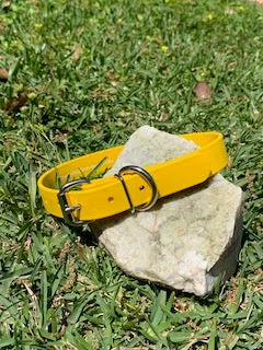 Champ BioThane 1 Inch Buckle Collar