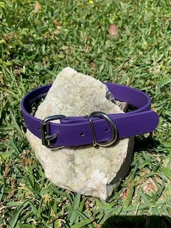 Champ BioThane 1 Inch Buckle Collar