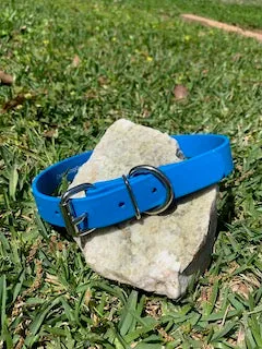 Champ BioThane 1 Inch Buckle Collar
