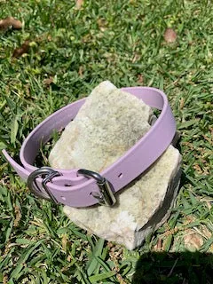 Champ BioThane 1 Inch Buckle Collar