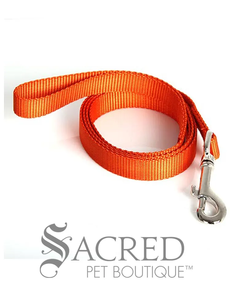 Everyday Dog Leash