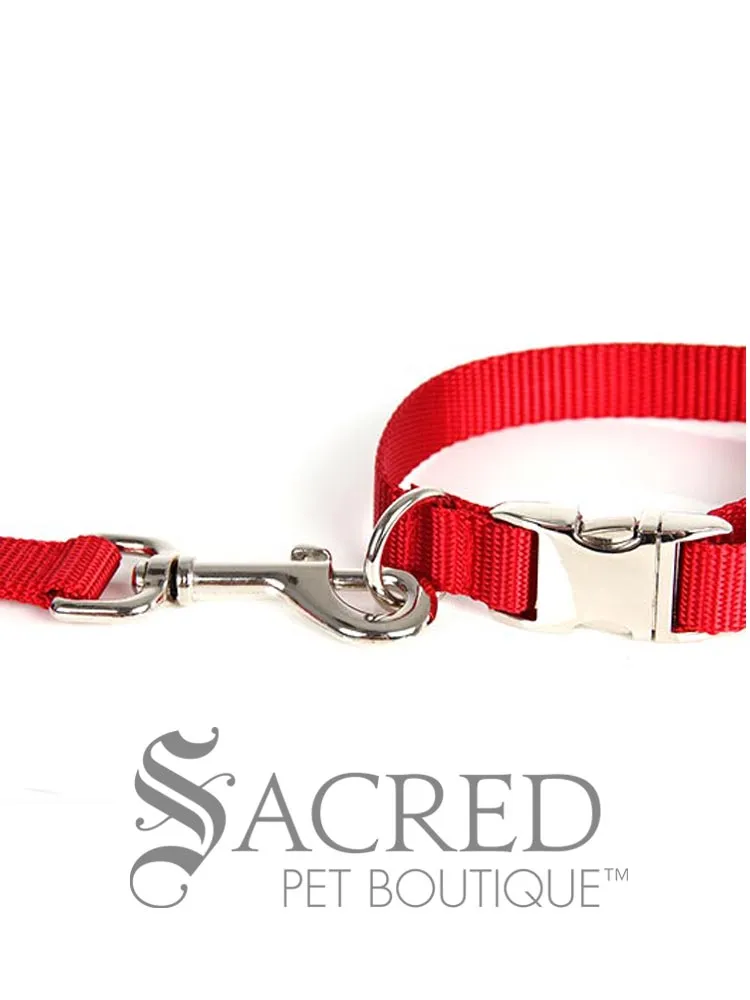 Everyday Dog Leash