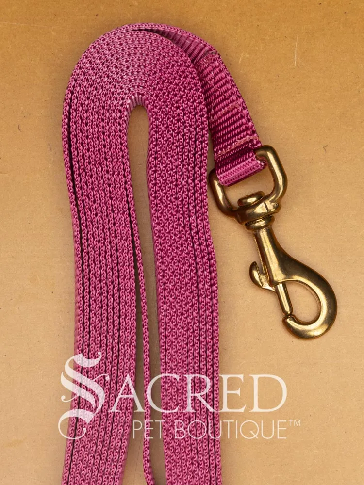 Everyday Dog Leash