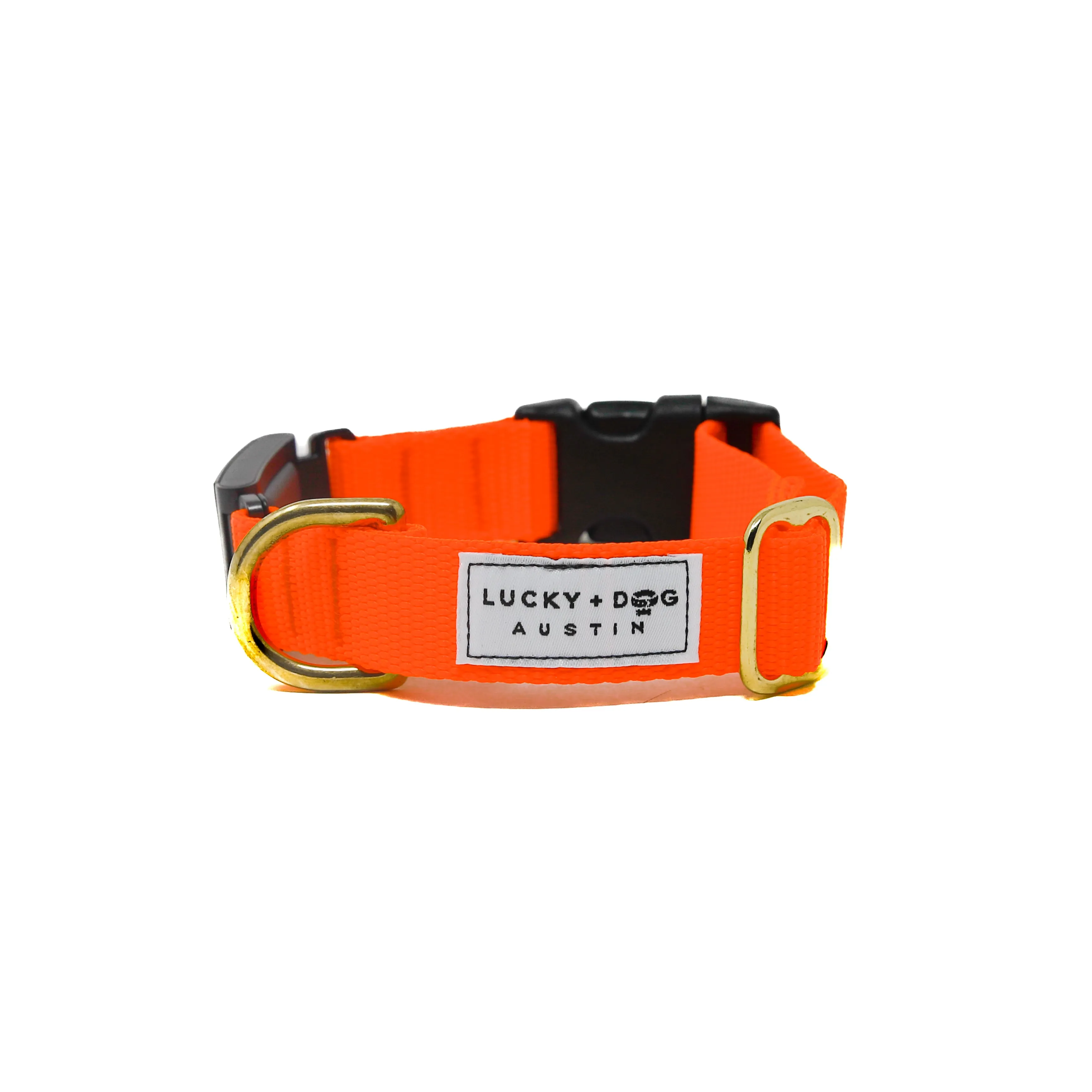 Fi Collar Band - Neon Orange