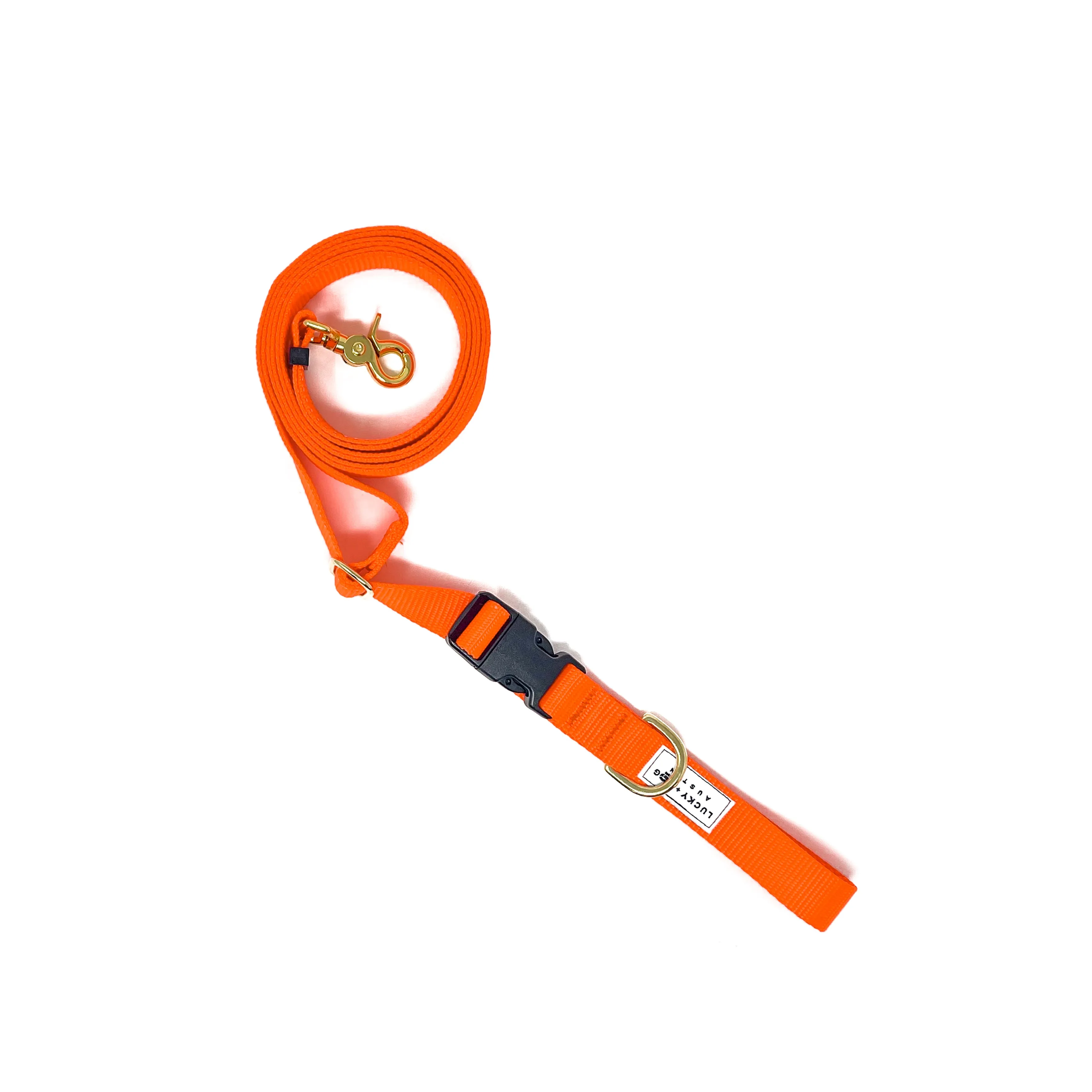 Fi Collar Band - Neon Orange