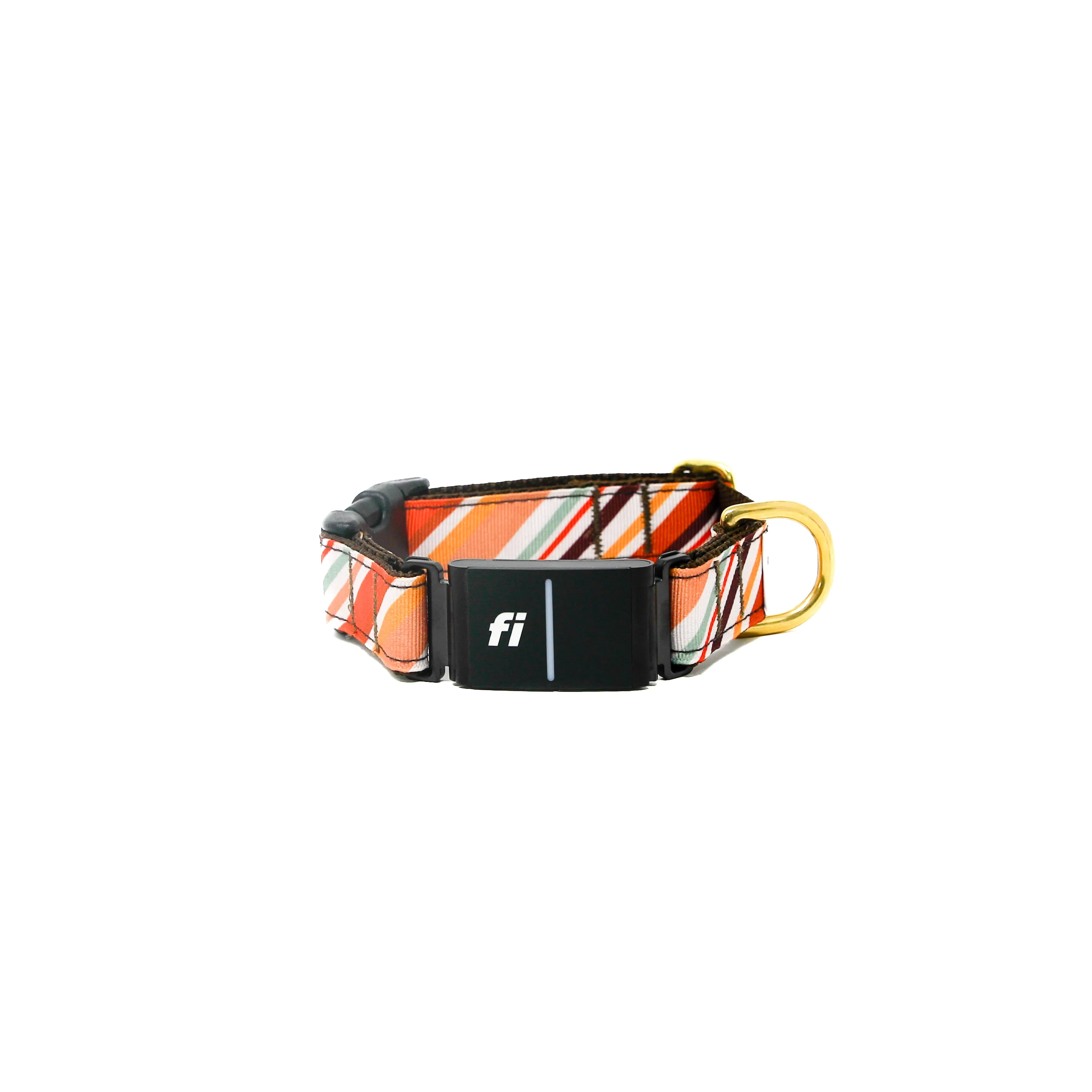 Fi Collar Band - Oak Pup