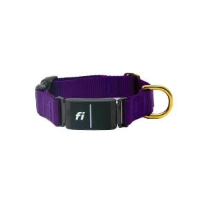Fi Collar Band - Purple
