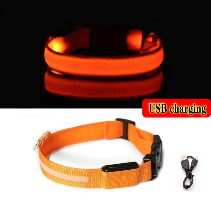 Glowing Dog Collar