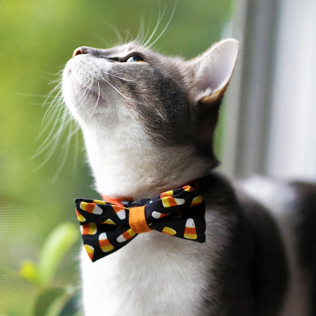 Halloween Cat Bow Tie - "Trick or Treat" - Candy Corn - Cat Bowtie / Kitten Bow Tie / Small Dog Bow Tie - Removable (One Size)