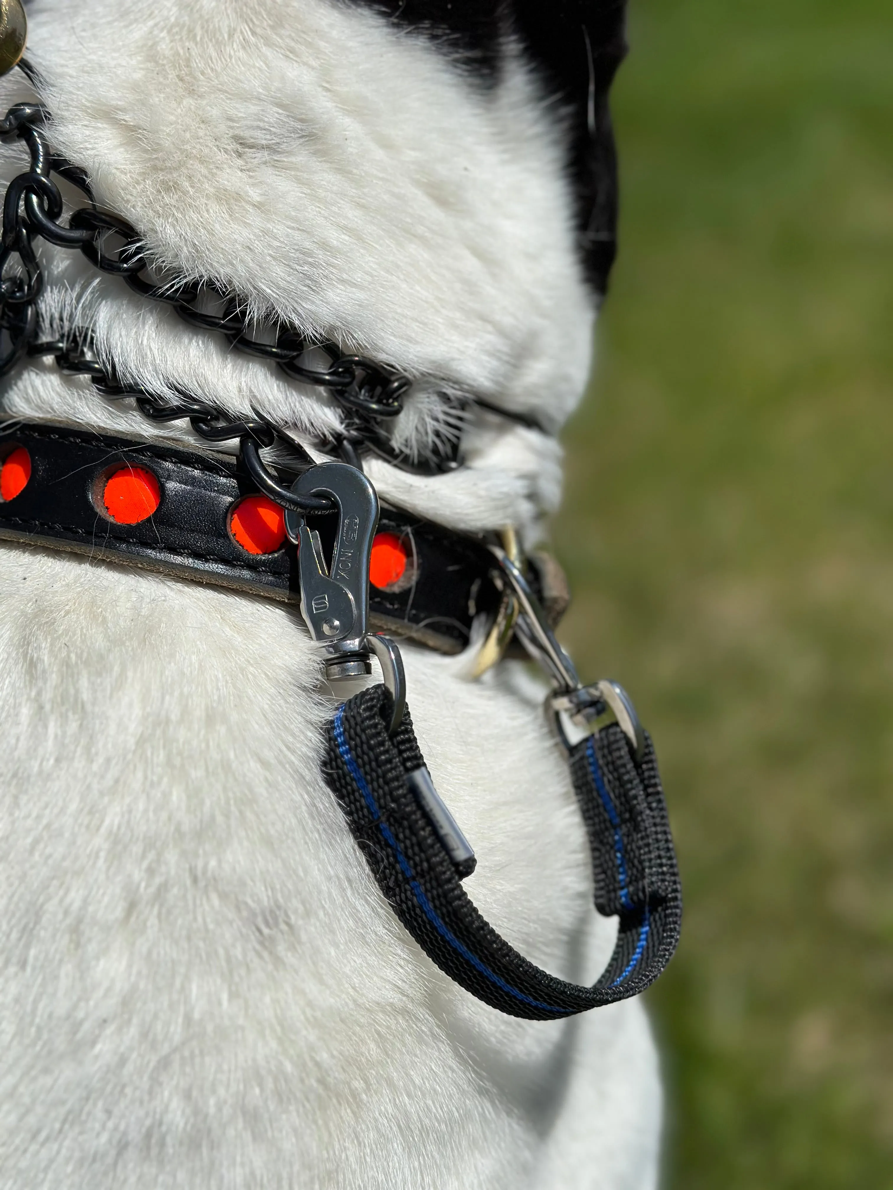 Herm Sprenger Blueline safety clip
