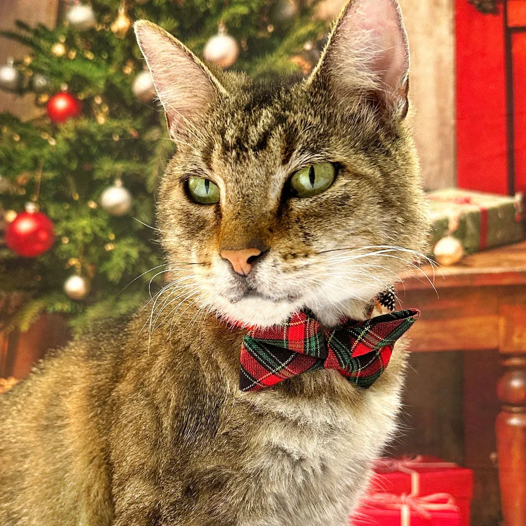 Holiday Cat Bow Tie - "Telluride" - Red Green & Black Christmas Plaid Bow Tie for Cat / Christmas, Winter / Cat   Small Dog Bowtie