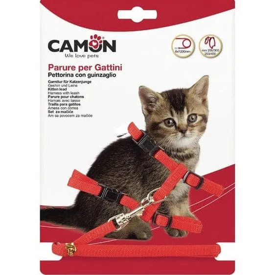 Kitten Lead Set 10X1200