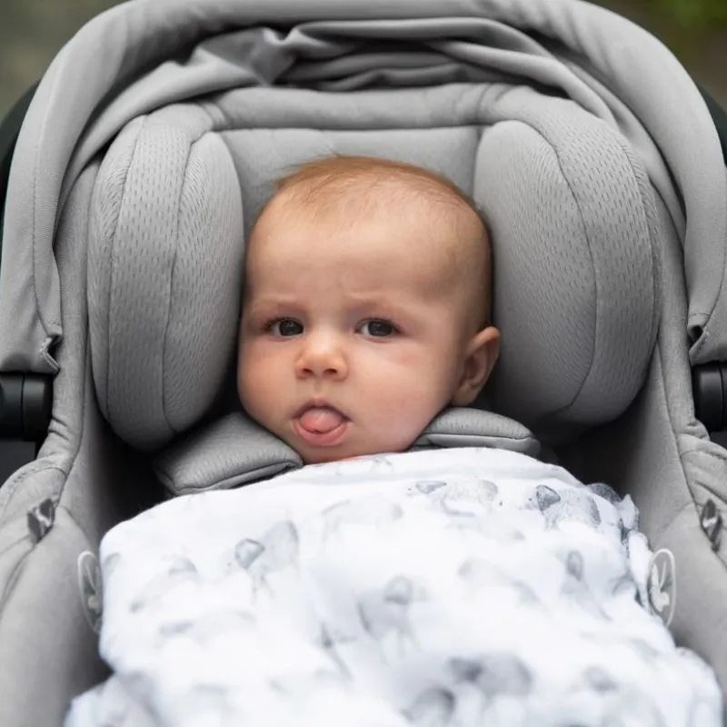 Mesa V2 Infant Car Seat