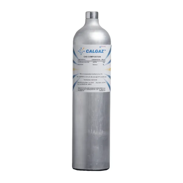 MSA 491041 Single Mix Calibration Gas