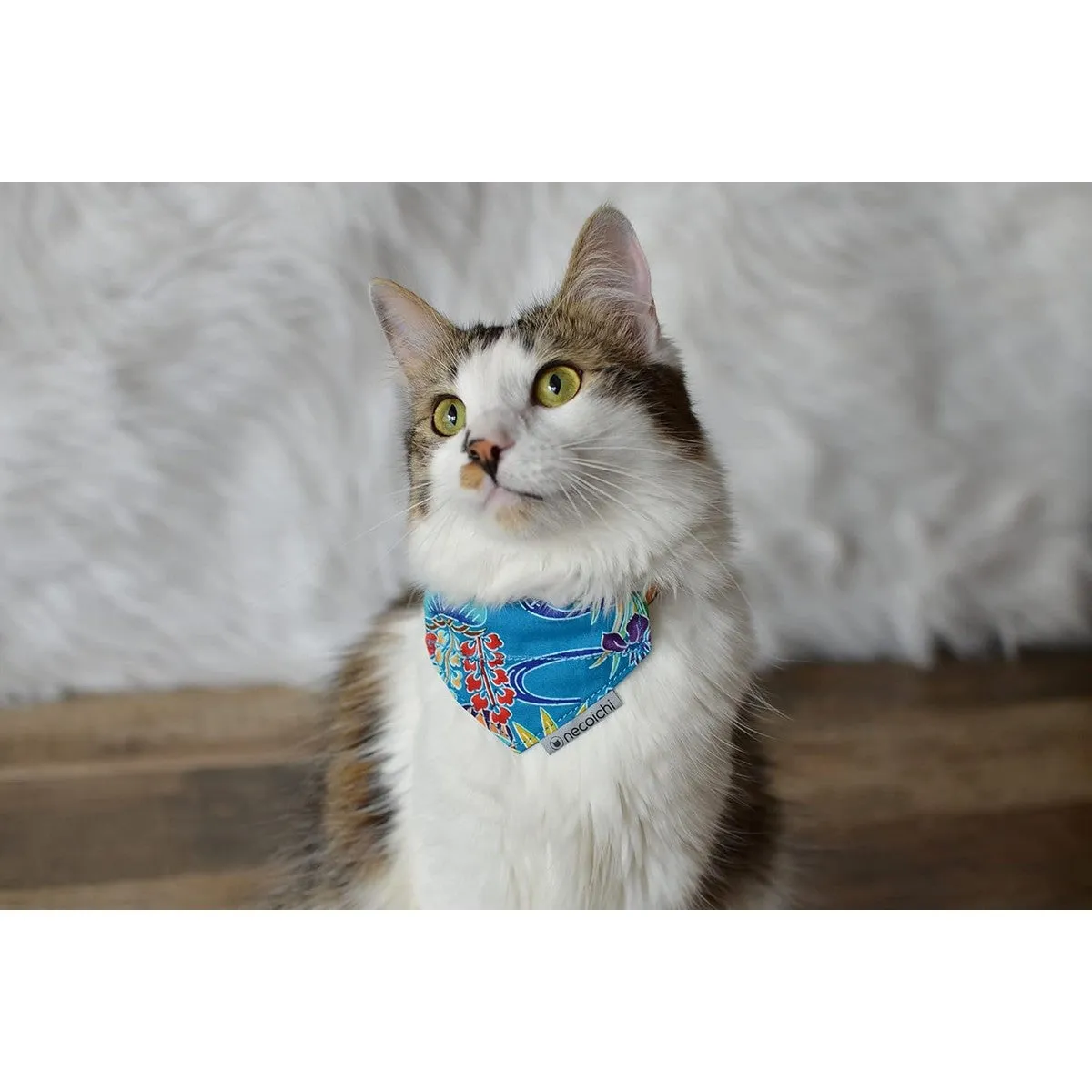 Necoichi Bandana Cat Collar with Air Tag Pocket Yukata Blue