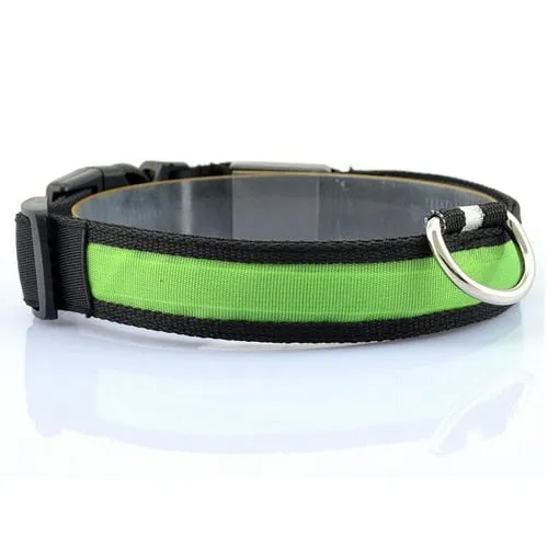 Night Safety Dog LED Collar