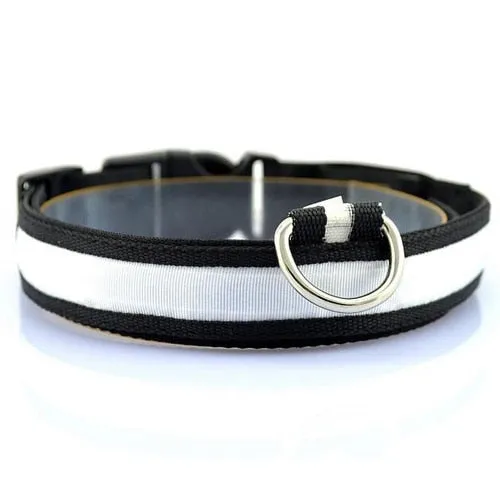 Night Safety Dog LED Collar