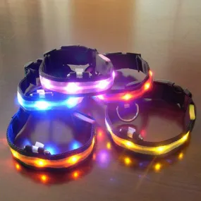 Night Safety Dog LED Collar