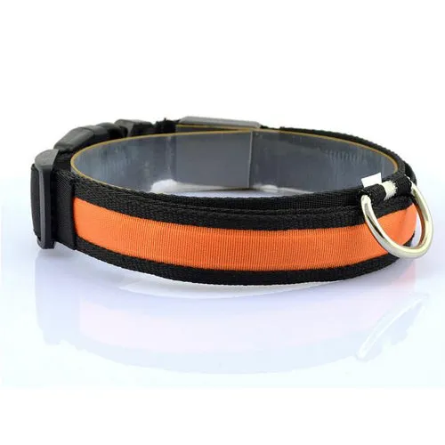 Night Safety Dog LED Collar