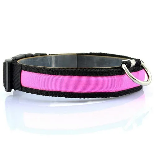 Night Safety Dog LED Collar