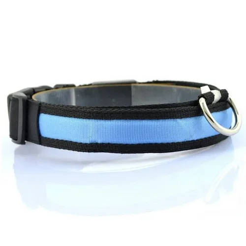 Night Safety Dog LED Collar