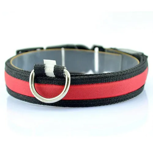 Night Safety Dog LED Collar