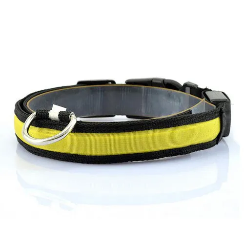 Night Safety Dog LED Collar