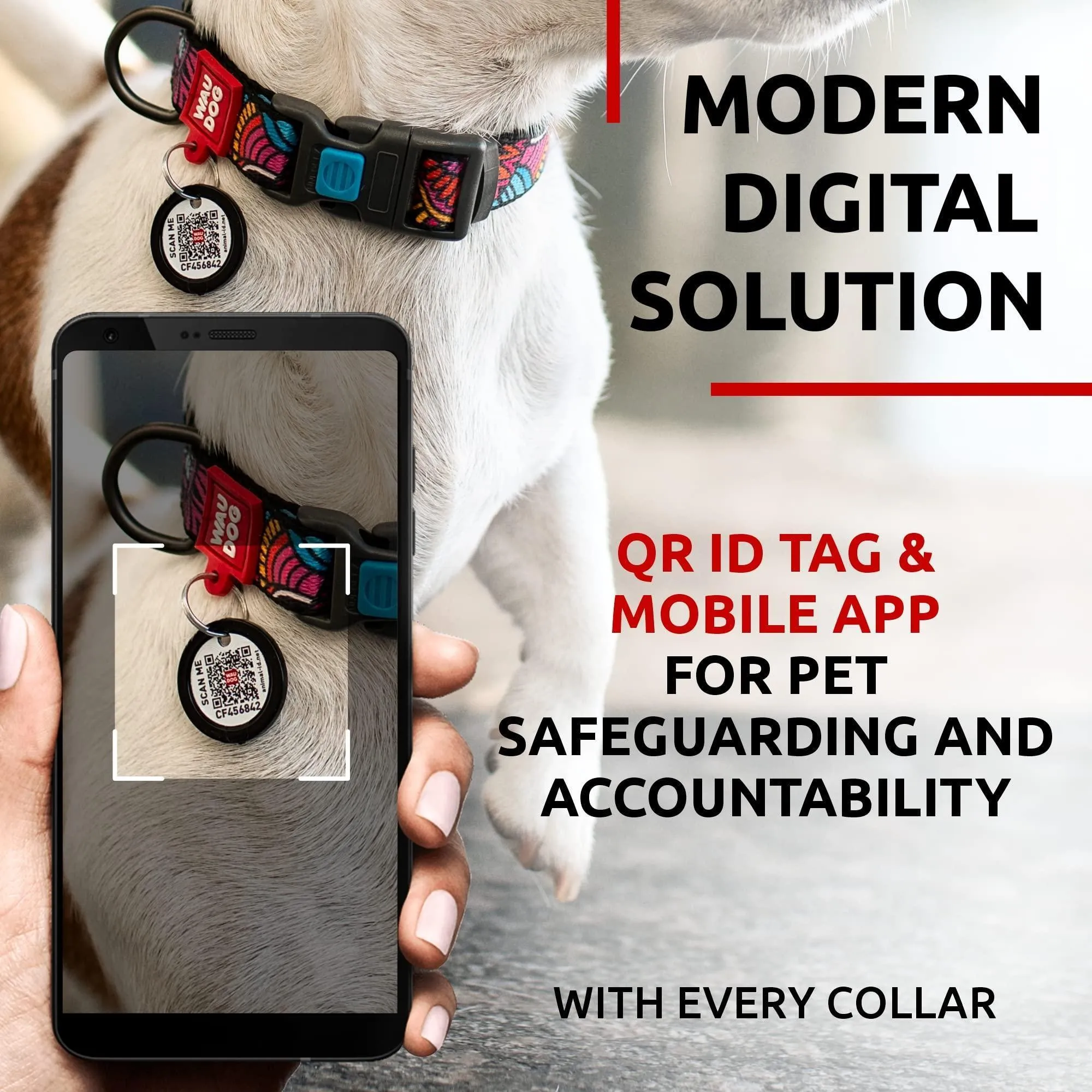 Nylon Dog Collar Adjustable for Small Dogs 914 in Neck x 3/5 in Wide Summer