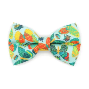 Pet Bow Tie - "Bugs & Butterflies" - Sky Blue Insects   Butterfly Cat Bow Tie / Spring   Summer / For Cats   Small Dogs (One Size)