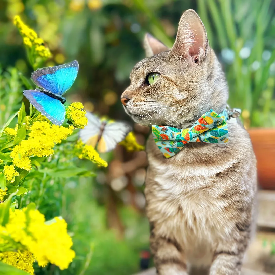 Pet Bow Tie - "Bugs & Butterflies" - Sky Blue Insects   Butterfly Cat Bow Tie / Spring   Summer / For Cats   Small Dogs (One Size)