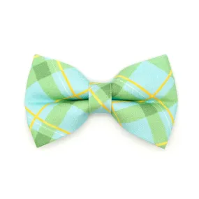 Pet Bow Tie - "Carmel" - Mint Green Plaid Cat Bow Tie / Spring, Summer, Easter, Wedding / For Cats   Small Dogs (One Size)