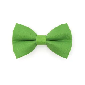 Pet Bow Tie - "Color Collection - Apple Green" - Solid Color Green Cat Bow Tie / Wedding Pet Bowtie / For Cats   Small Dogs (One Size)