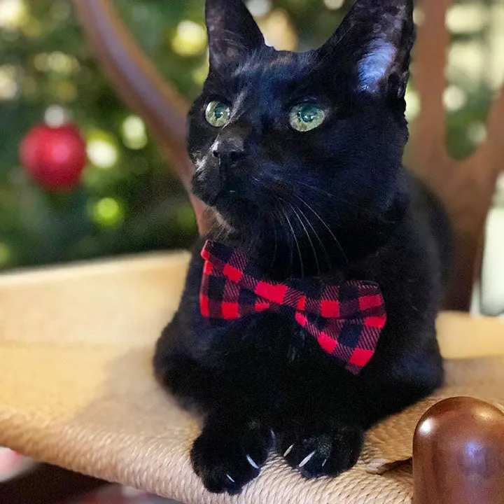 Pet Bow Tie - "Cozy Cabin Red" - Buffalo Check Plaid in Red - Fall / Winter / Holiday / Hipster - Detachable Bowtie for Cats   Dogs