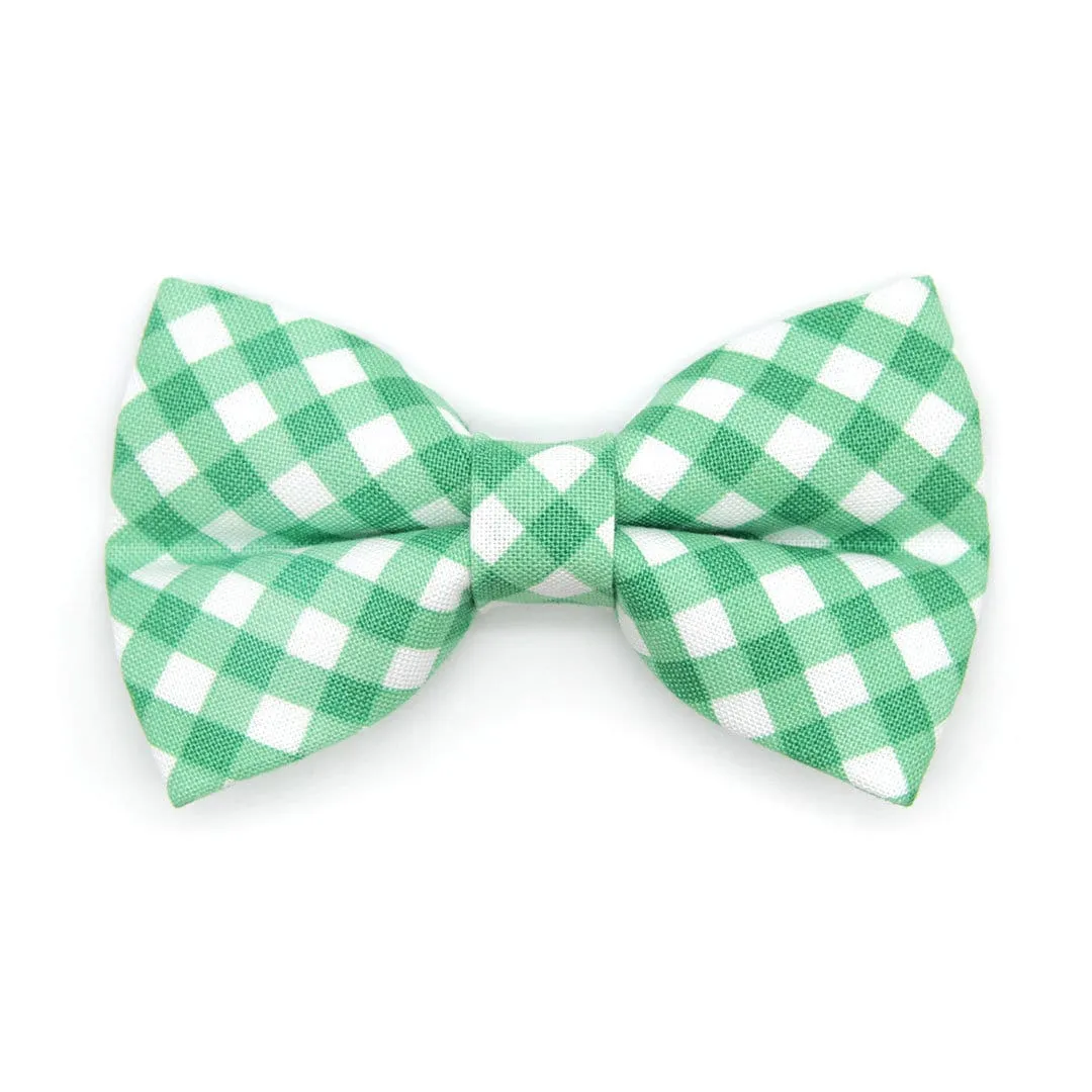 Pet Bow Tie - "Derby" - Gingham Green Bow Tie / Spring, St. Patrick's Day, Wedding / For Cats   Small Dogs (One Size)