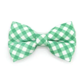 Pet Bow Tie - "Derby" - Gingham Green Bow Tie / Spring, St. Patrick's Day, Wedding / For Cats   Small Dogs (One Size)