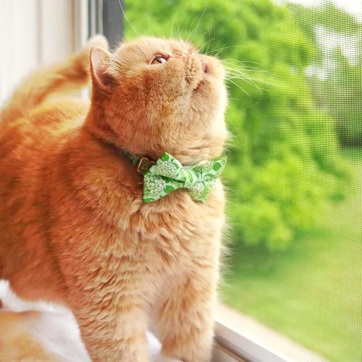 Pet Bow Tie - "Hydrangea Hill" - Botanical Green Cat Bow Tie / Spring   Summer Floral / For Cats   Small Dogs (One Size)