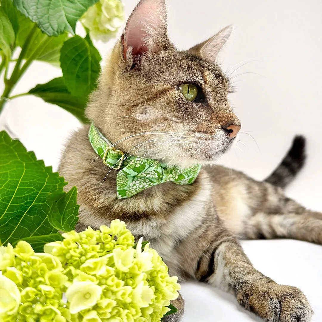 Pet Bow Tie - "Hydrangea Hill" - Botanical Green Cat Bow Tie / Spring   Summer Floral / For Cats   Small Dogs (One Size)