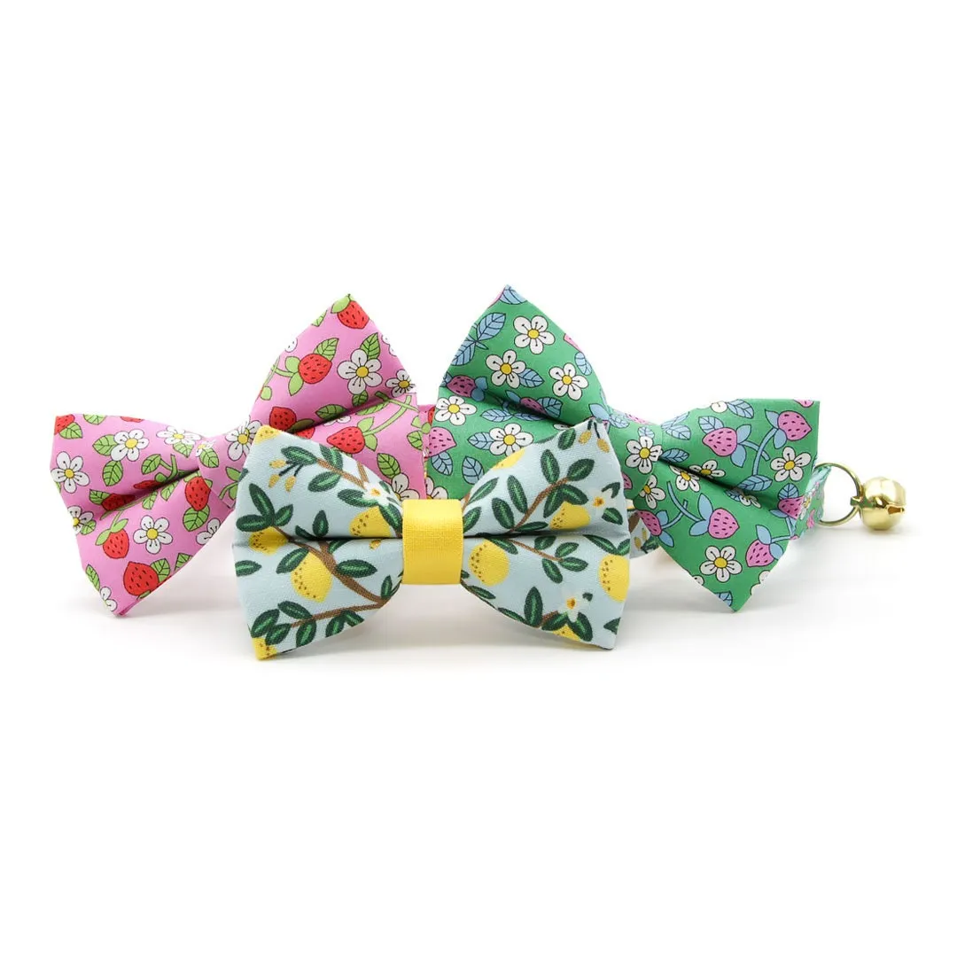 Pet Bow Tie - "Lemon Drops" - Rifle Paper Co® Light Blue w/ Lemons Cat Bow Tie / Spring   Summer / For Cats   Small Dogs (One Size)