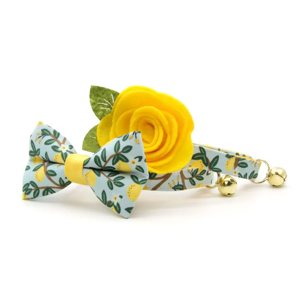 Pet Bow Tie - "Lemon Drops" - Rifle Paper Co® Light Blue w/ Lemons Cat Bow Tie / Spring   Summer / For Cats   Small Dogs (One Size)
