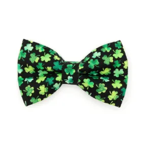 Pet Bow Tie - "Lucky Charmer" - St. Patrick's Day Cat Bow Tie / Irish, Shamrocks / For Cats   Small Dogs (One Size)